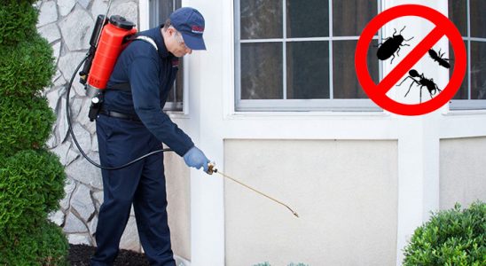 Altındağ Bit İlaçlama böcek ilaçlama ve haşere kontrolü — ilaclama-tr.com